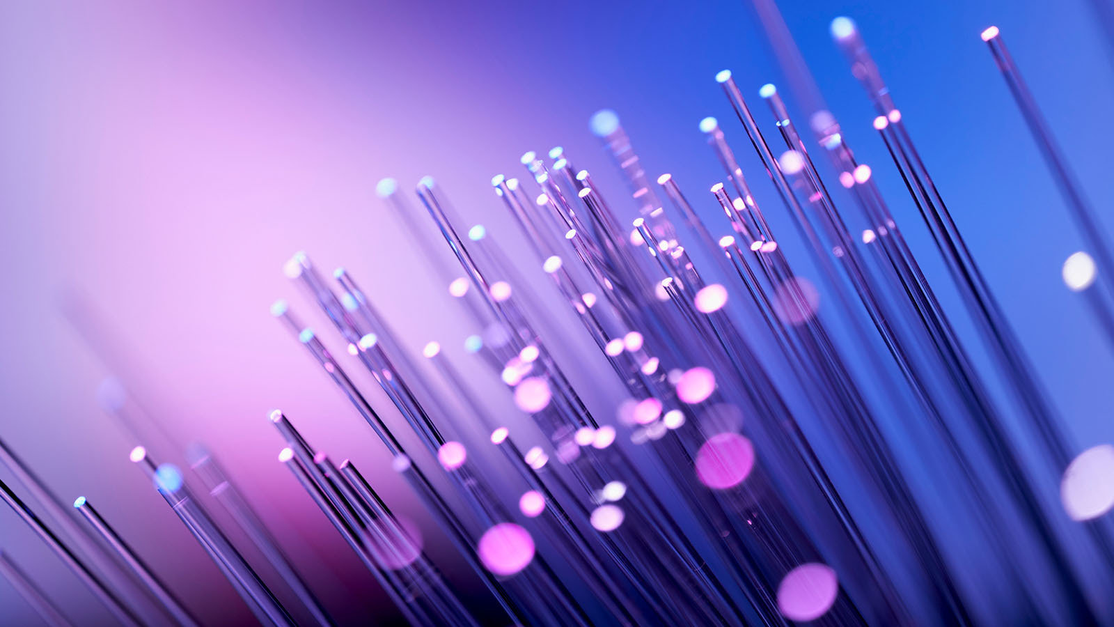 Fibre optics (abstract background), purple and blue colourings. Representing data, the internet, technology.