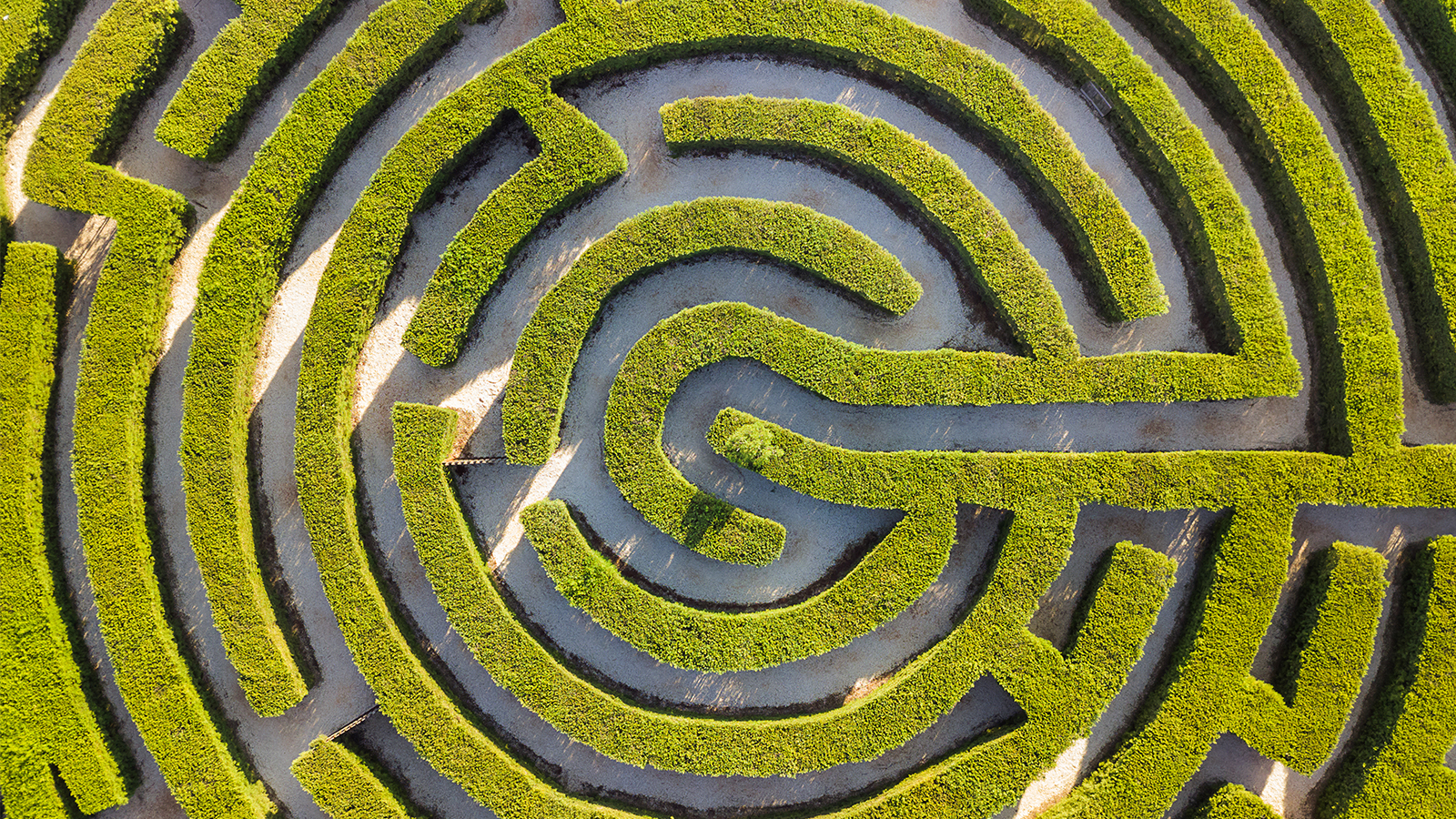 A maze formed by hedges, used in this context as a reference to hedge funds.