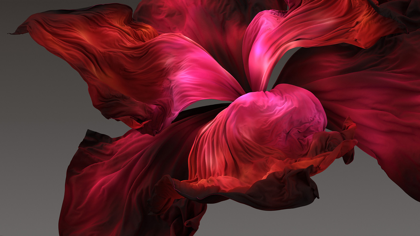 Red abstract iris flower on grey background.
