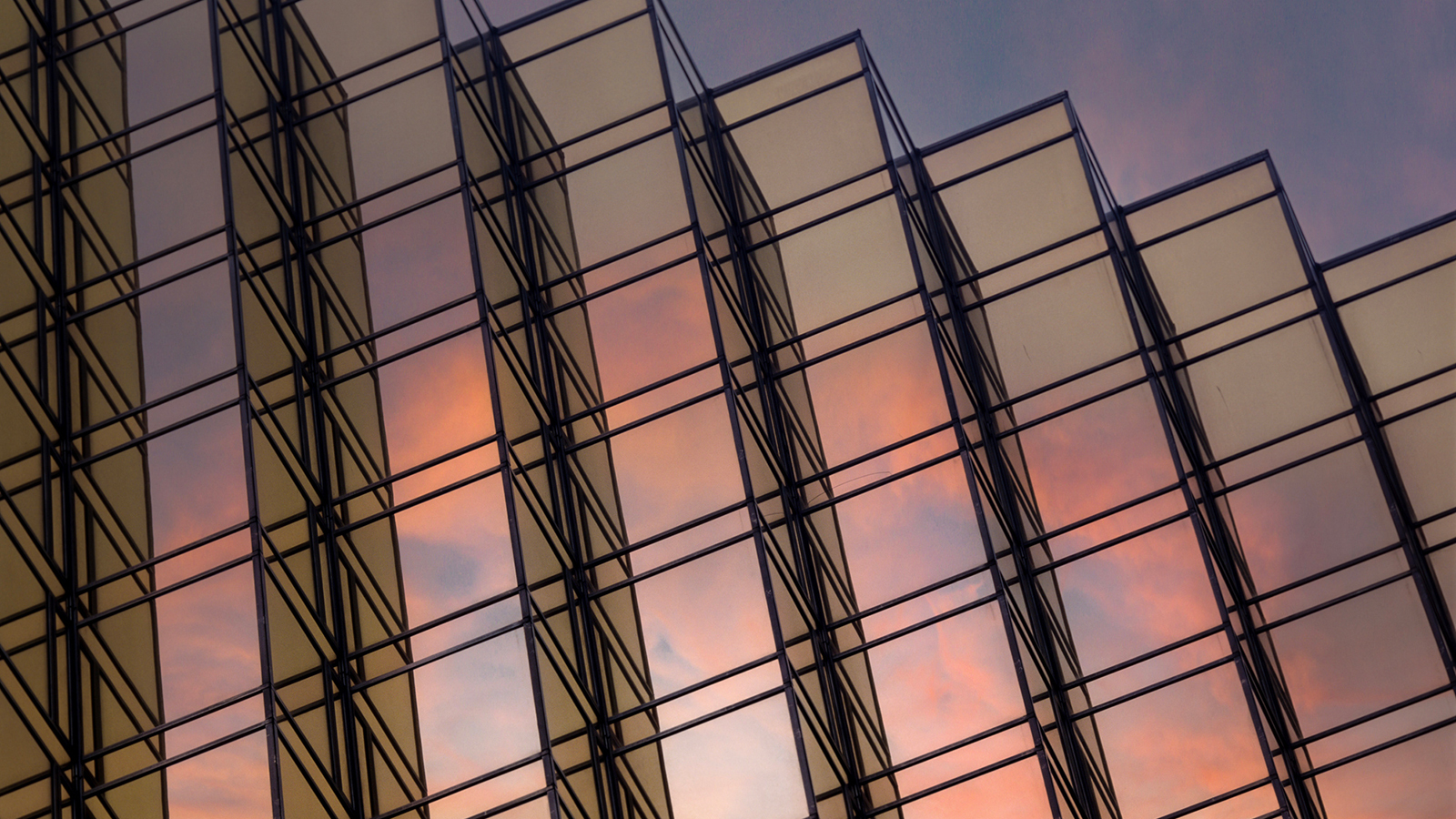The glass surface of a modern building with a peach-coloured sunset reflected in the panels. Low angle view.