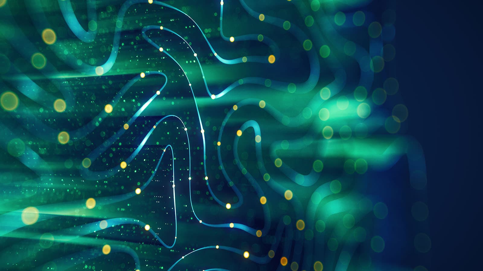 Technology & Innovation