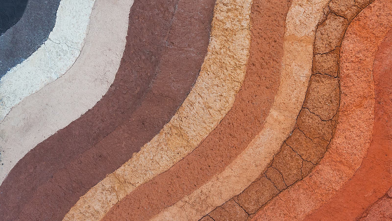 Layers of soil (earthy tones).