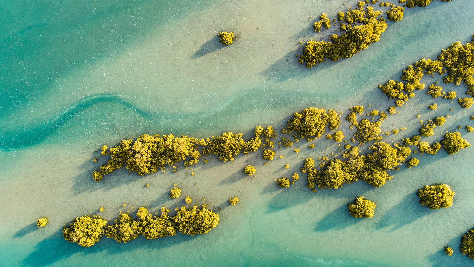 Aerial view of Waiwera River in Auckland New Zealand.