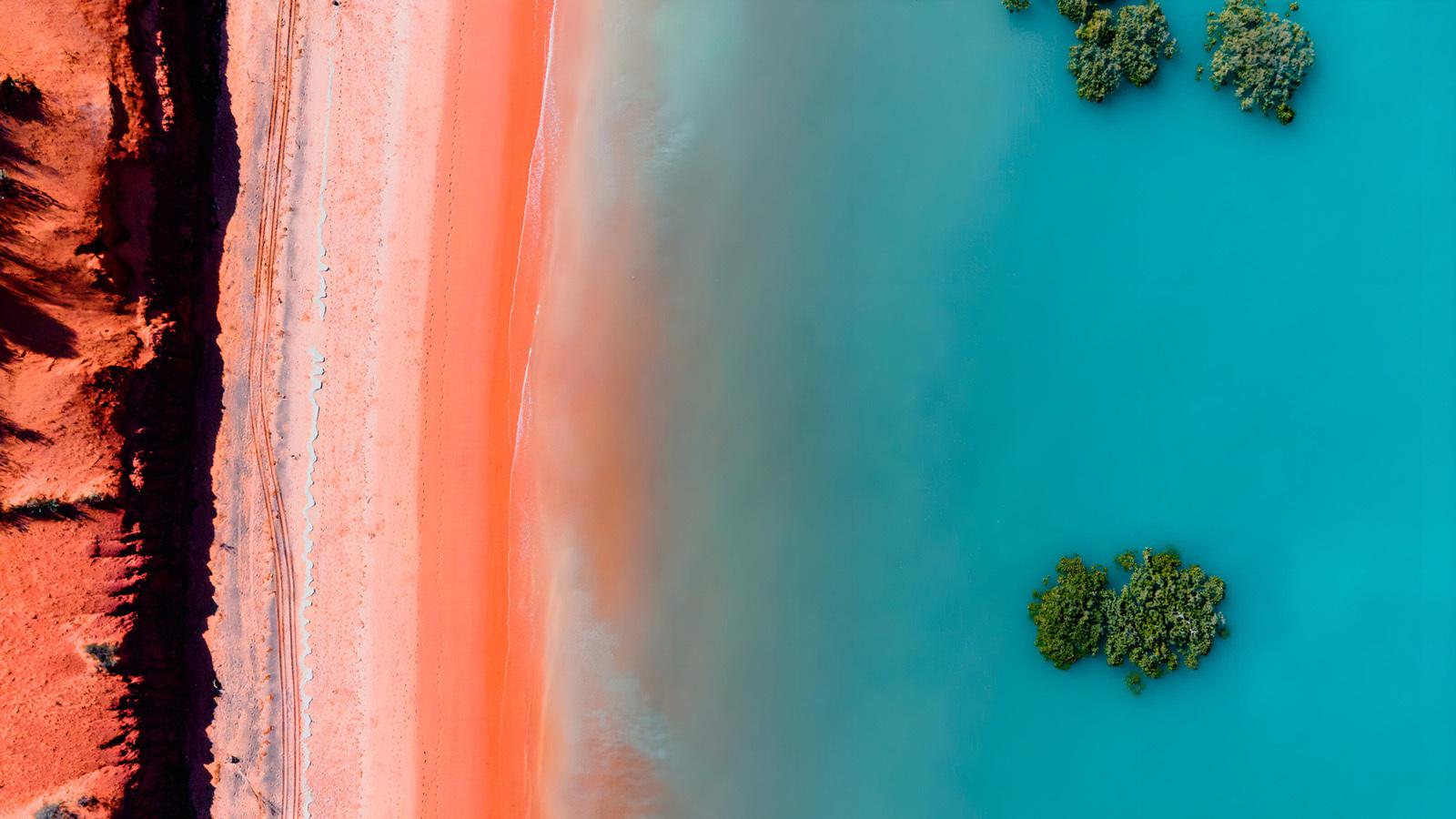 Aerial view of beach with water and mangroves.