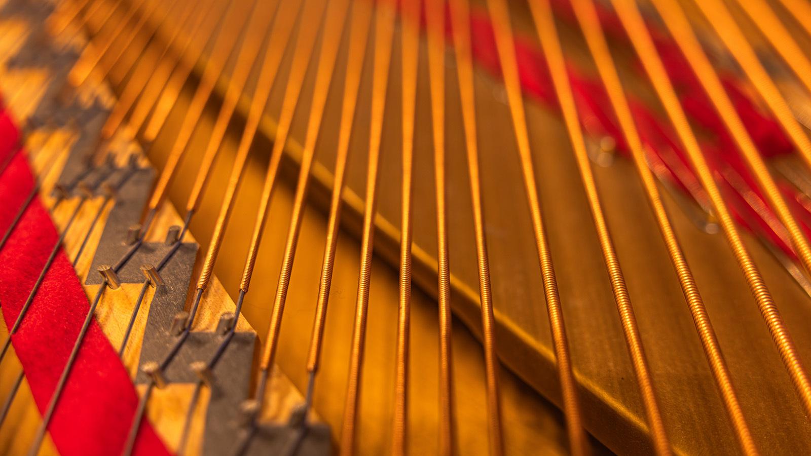For employment article about Melbourne Symphony Orchestra case. Close-up of acoustic grand piano bass strings.
