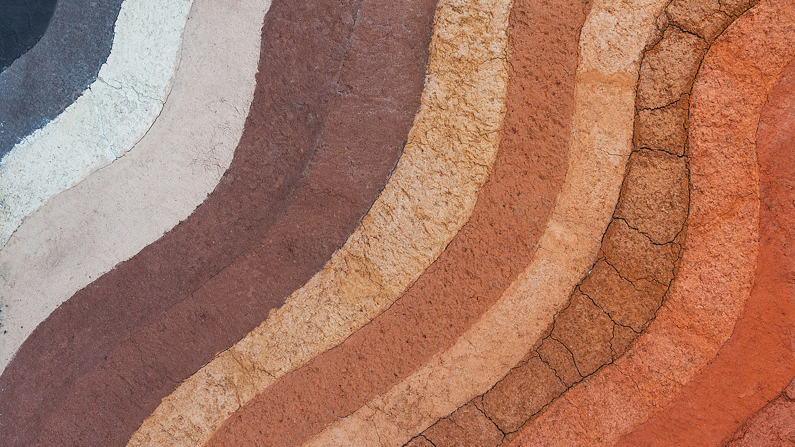 Layers of soil (earthy tones).